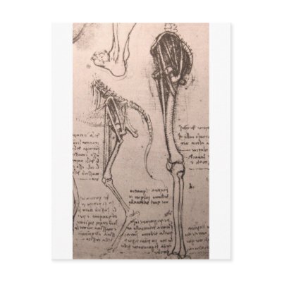 Anatomy of dog and man postcards by LeonardoDaVinci
