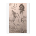 Anatomy of dog and man postcards