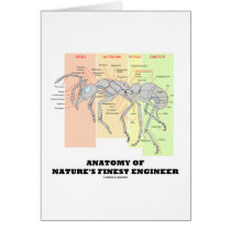 Anatomy Of Nature's Finest Engineer (Entomology) Card