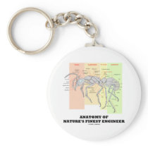 Anatomy Of Nature's Finest Engineer (Entomology) Keychains