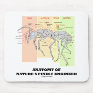 Anatomy Of Nature's Finest Engineer (Entomology) mousepad