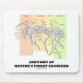 Anatomy Of Nature's Finest Engineer (Entomology) Mouse Pads