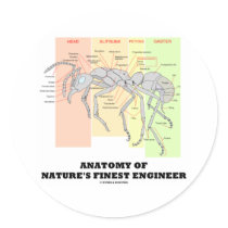 Anatomy Of Nature's Finest Engineer (Entomology) Round Stickers