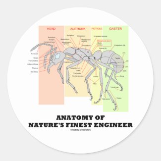 Anatomy Of Nature's Finest Engineer (Entomology) Sticker