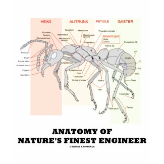 Anatomy Of Nature's Finest Engineer (Entomology) shirt