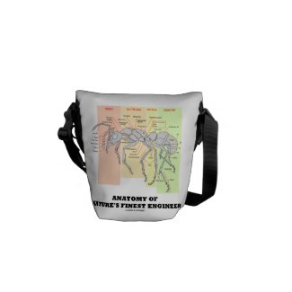 Anatomy Of Nature's Finest Engineer (Worker Ant) Messenger Bag