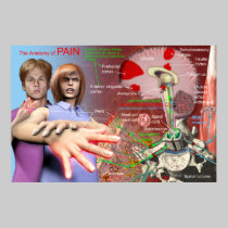 Anatomy of pain posters