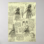 Anatomy of the Human Hand by Leonardo da Vinci Poster