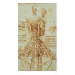 Anatomy of the Neck by Leonardo Da Vinci c. 1515 Business Cards