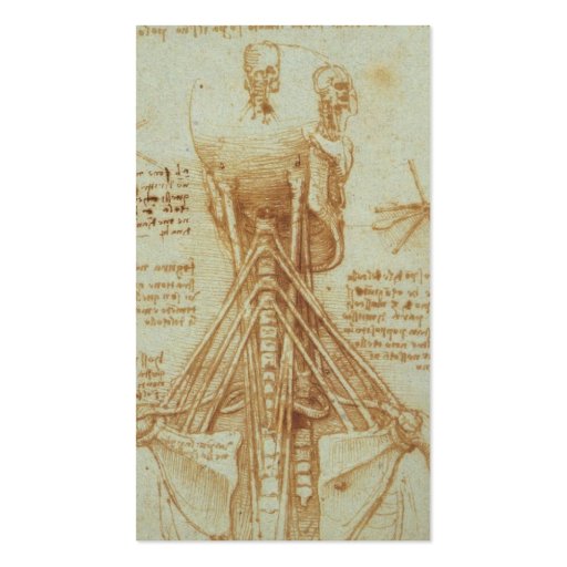 Anatomy of the Neck by Leonardo Da Vinci c. 1515 Business Cards (front side)