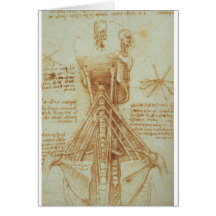 Anatomy of the Neck by Leonardo Da Vinci c. 1515 Cards