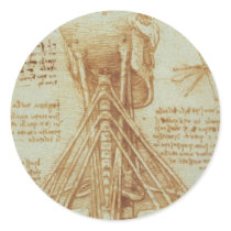 Anatomy of the neck stickers by LeonardoDaVinci Anatomy of the neck stickers