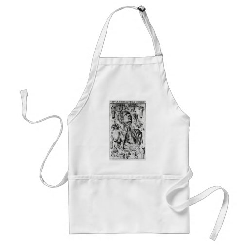 anatomy of  the respiratory system apron