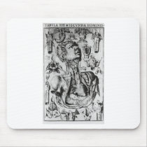 anatomy of  the respiratory system mousepads