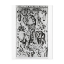 anatomy of the respiratory system postcards by cyd000 anatomy of the respiratory system postcards