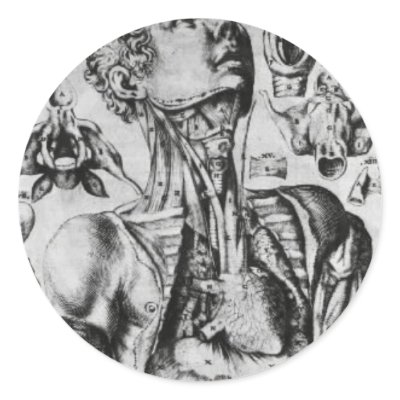 anatomy of  the respiratory system round sticker by cyd000