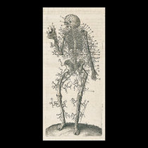 Anatomy Poster posters