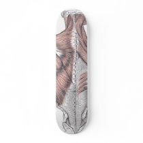 Anatomy skateboards by Skate_MD Anatomy skateboards