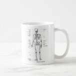 ANATOMY SKELETON T-SHIRTS AND GIFTS MUGS