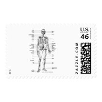ANATOMY SKELETON T-SHIRTS AND GIFTS STAMP