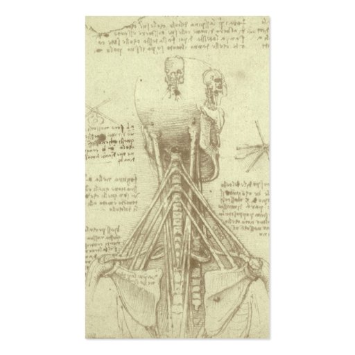 Anatomy Sketch of Spinal Column Leonardo da Vinci Business Card Template (back side)