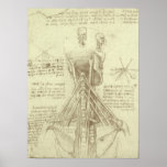 Anatomy Sketch of Spinal Column Leonardo da Vinci Poster