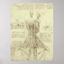 Anatomy Sketch of Spinal Column Leonardo da Vinci Poster