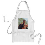 ANB Gotalil Gumption Aprons