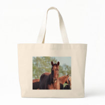 ANB Gotalil Gumption Bags