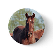 ANB Gotalil Gumption Pin