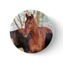 ANB Gotalil Gumption Pin