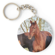 ANB Gotalil Gumption Key Chains