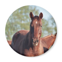 ANB Gotalil Gumption Fridge Magnet