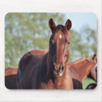 ANB Gotalil Gumption Mouse Mat