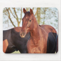 ANB Gotalil Gumption Mouse Pad