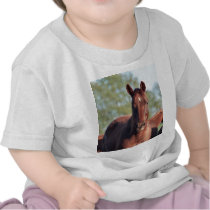 ANB Gotalil Gumption Tshirts