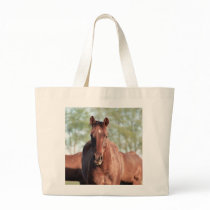 ANB Gottalil Gumption Bags