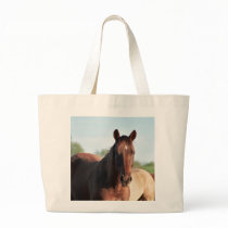 ANB Gottalil Gumption Tote Bags