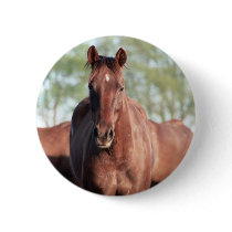 ANB Gottalil Gumption Buttons