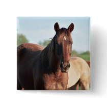 ANB Gottalil Gumption Pinback Buttons