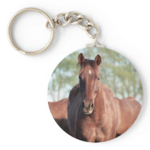 ANB Gottalil Gumption Keychains