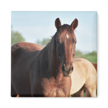 ANB Gottalil Gumption Refrigerator Magnets