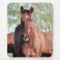 ANB Gottalil Gumption Mouse Mats