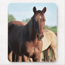 ANB Gottalil Gumption Mouse Mats