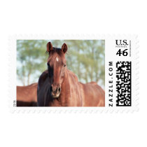 ANB Gottalil Gumption Postage Stamp