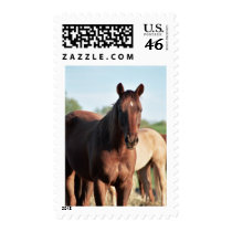 ANB Gottalil Gumption Postage