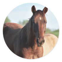 ANB Gottalil Gumption Round Stickers