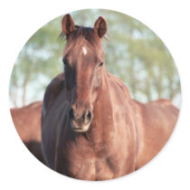 ANB Gottalil Gumption Round Stickers