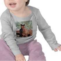ANB Gottalil Gumption Tee Shirts