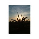 Anceint Sky posters